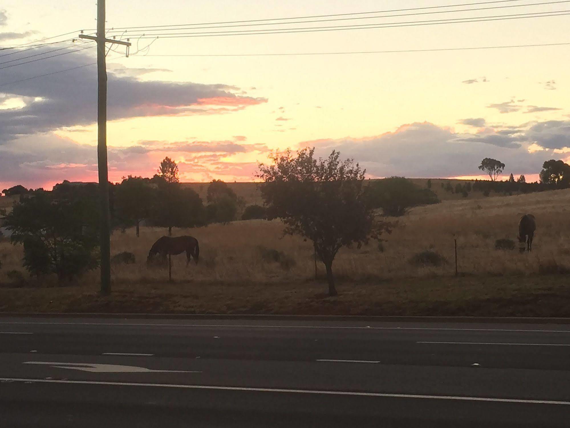 Station Motel Parkes Buitenkant foto